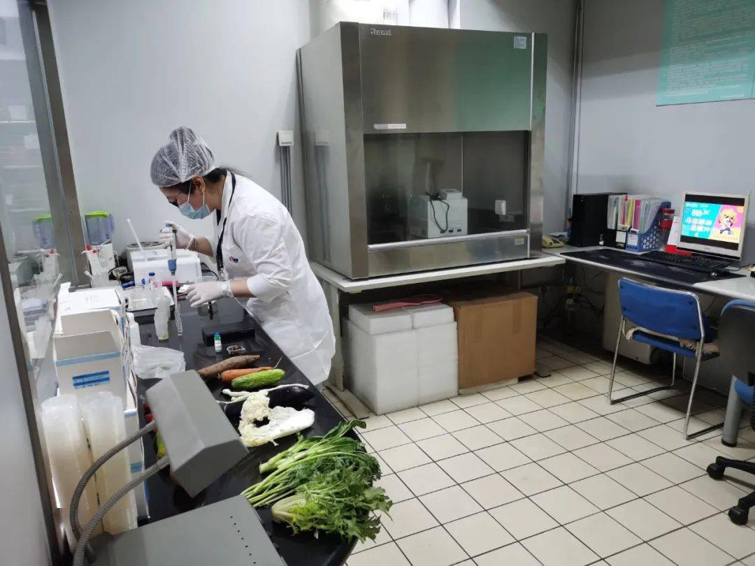 乌兰察布食品检测实验室装修方案